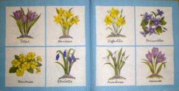 022 Narzissen - 3-lagig